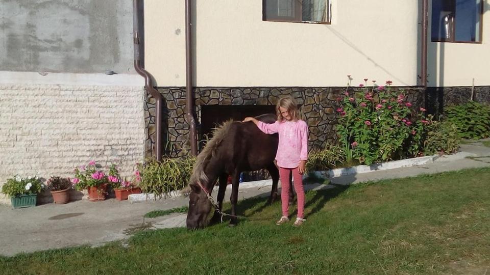 Pensiunea Adeluta Călimăneşti Dış mekan fotoğraf