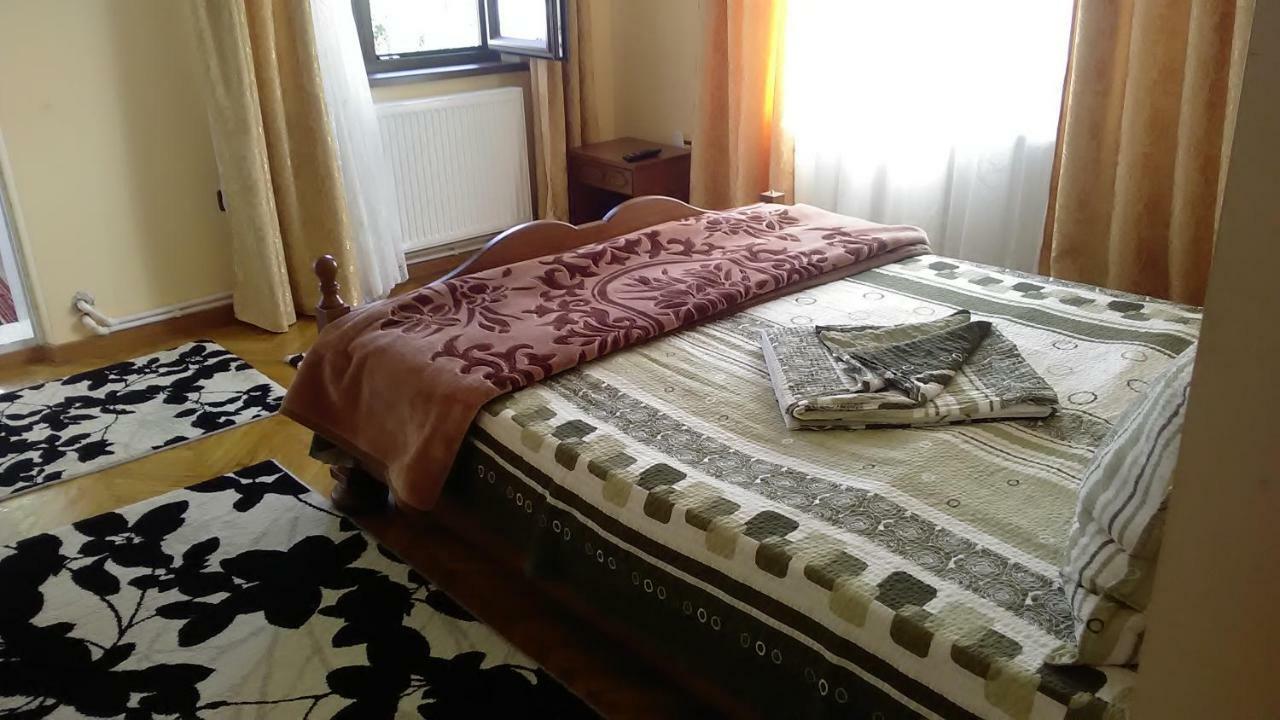 Pensiunea Adeluta Călimăneşti Dış mekan fotoğraf