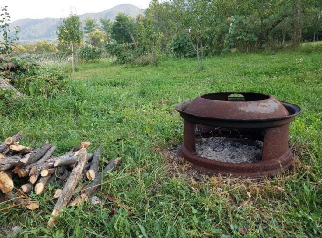 Pensiunea Adeluta Călimăneşti Dış mekan fotoğraf