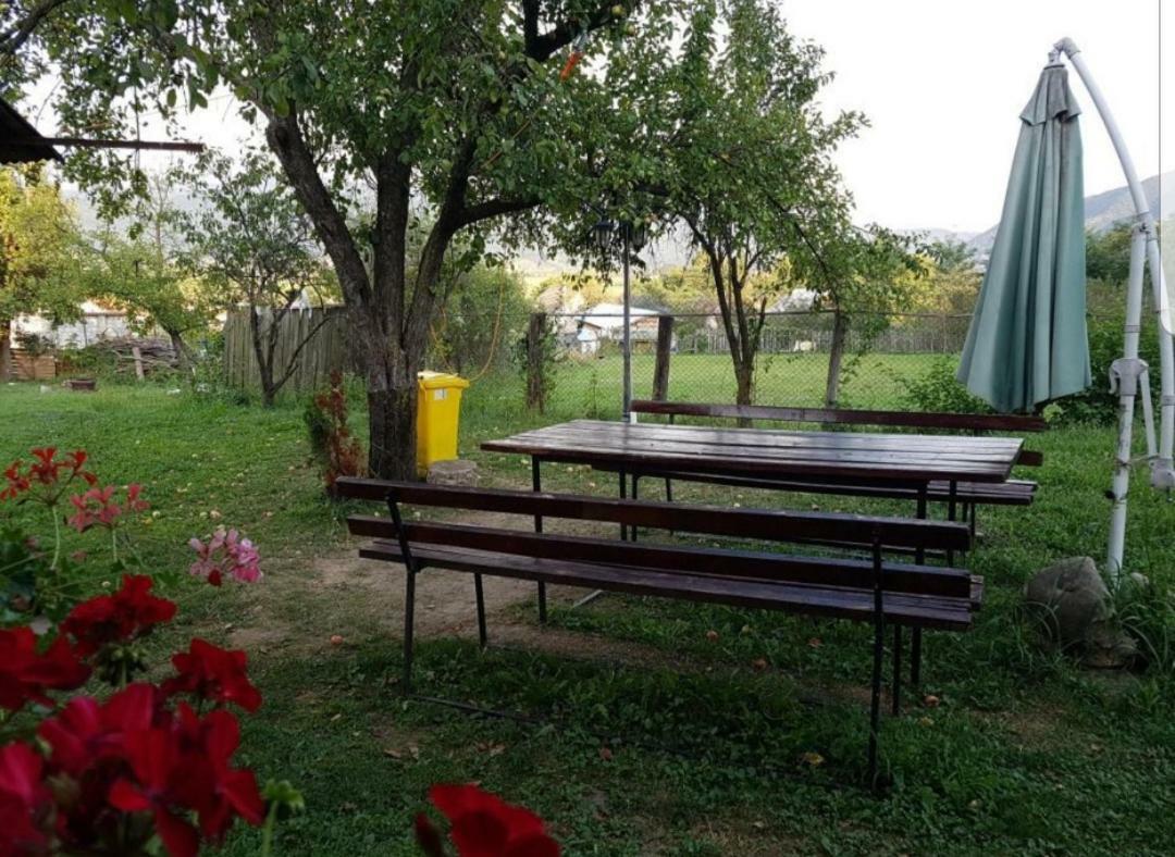 Pensiunea Adeluta Călimăneşti Dış mekan fotoğraf