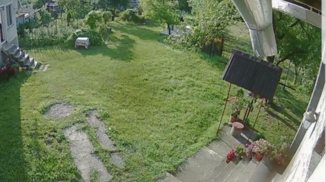 Pensiunea Adeluta Călimăneşti Dış mekan fotoğraf